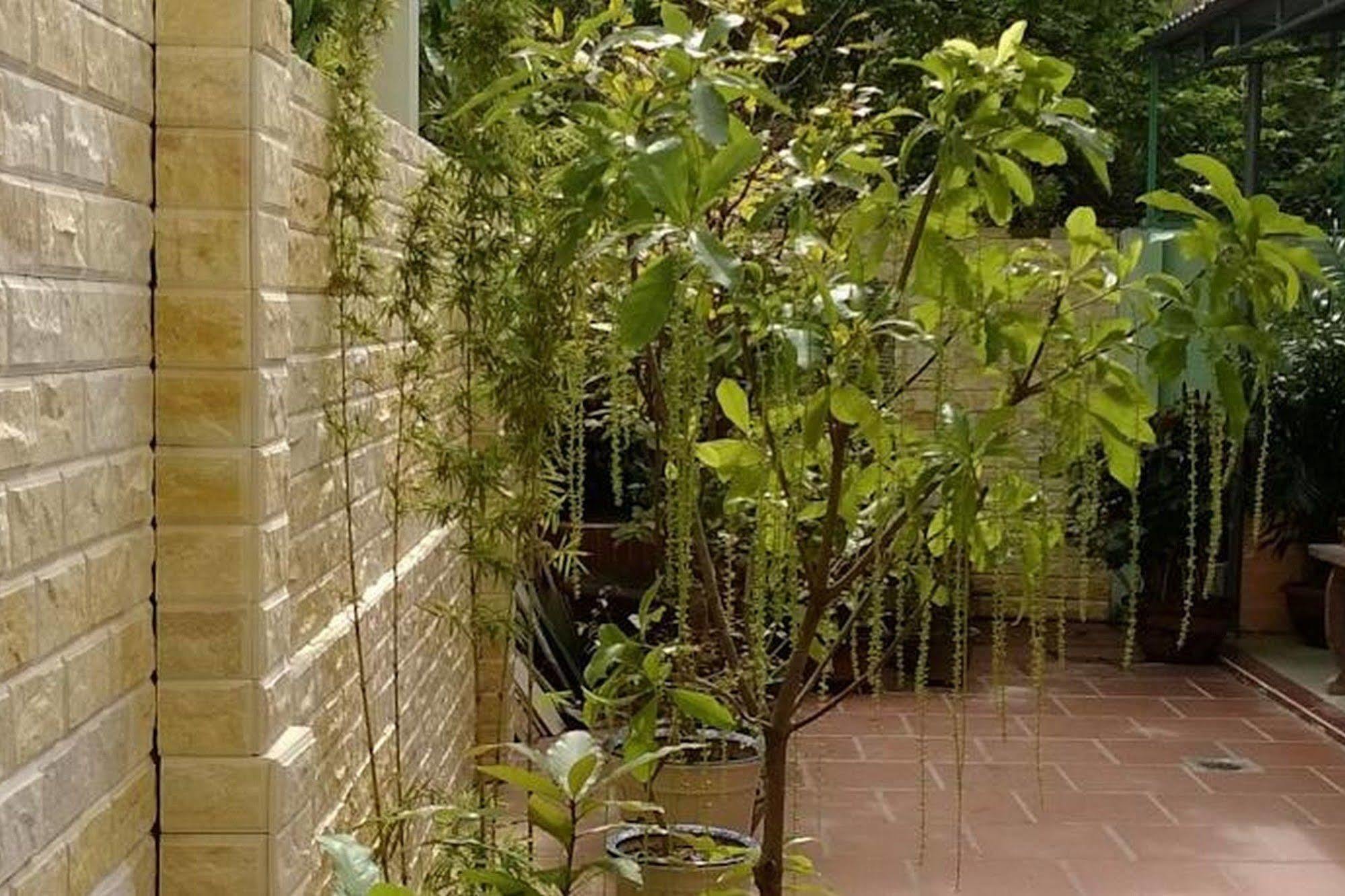 Hi Hop Yen Homestay Hội An Buitenkant foto